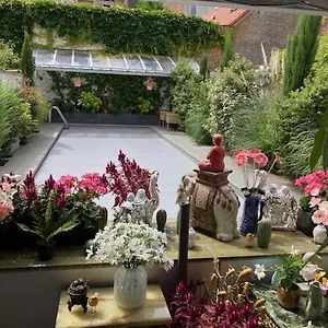 https://caravaggio-boutique-suites.hotelsantwerp.net